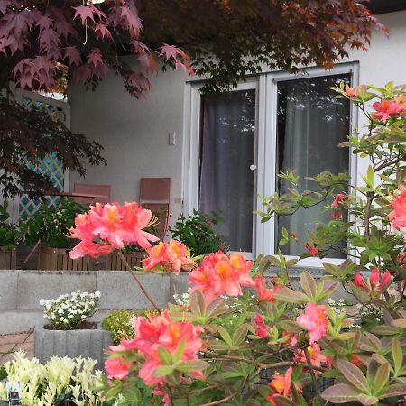 Haus Magnolia 2 Daire Kandern Dış mekan fotoğraf