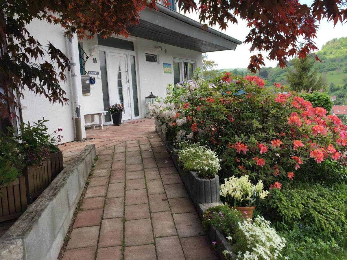 Haus Magnolia 2 Daire Kandern Dış mekan fotoğraf