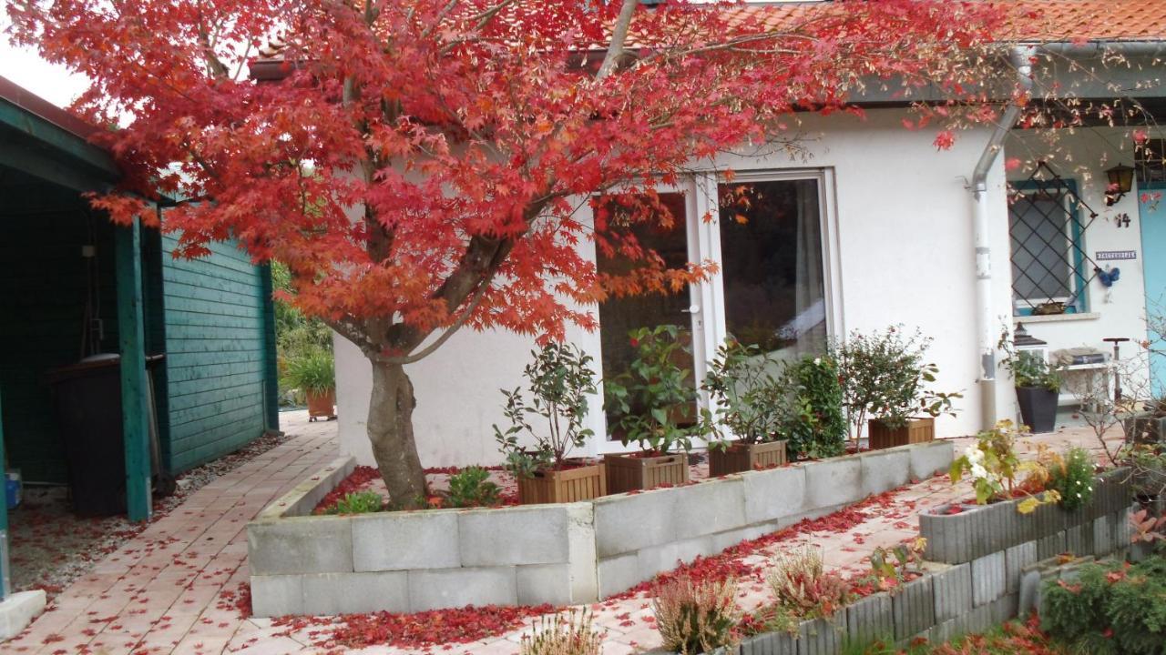 Haus Magnolia 2 Daire Kandern Dış mekan fotoğraf