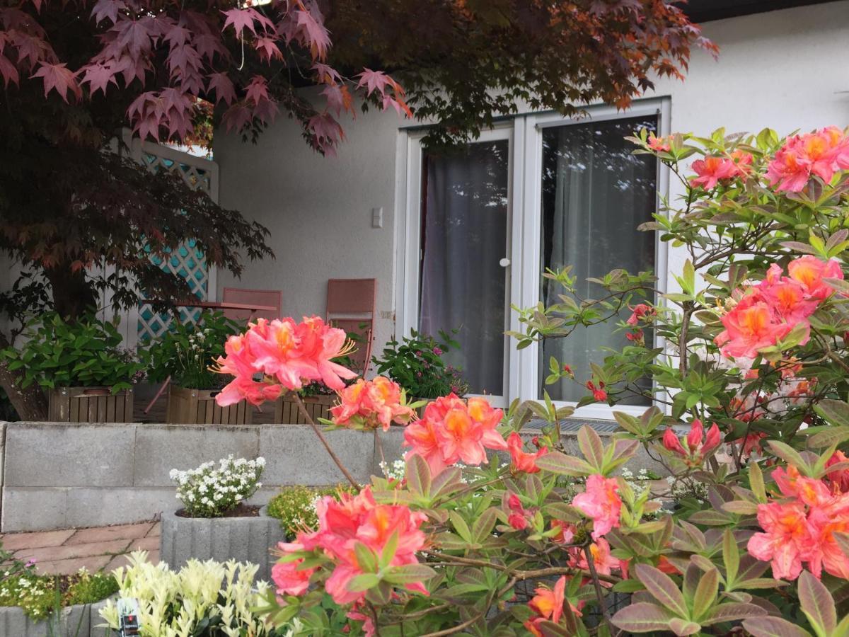 Haus Magnolia 2 Daire Kandern Dış mekan fotoğraf